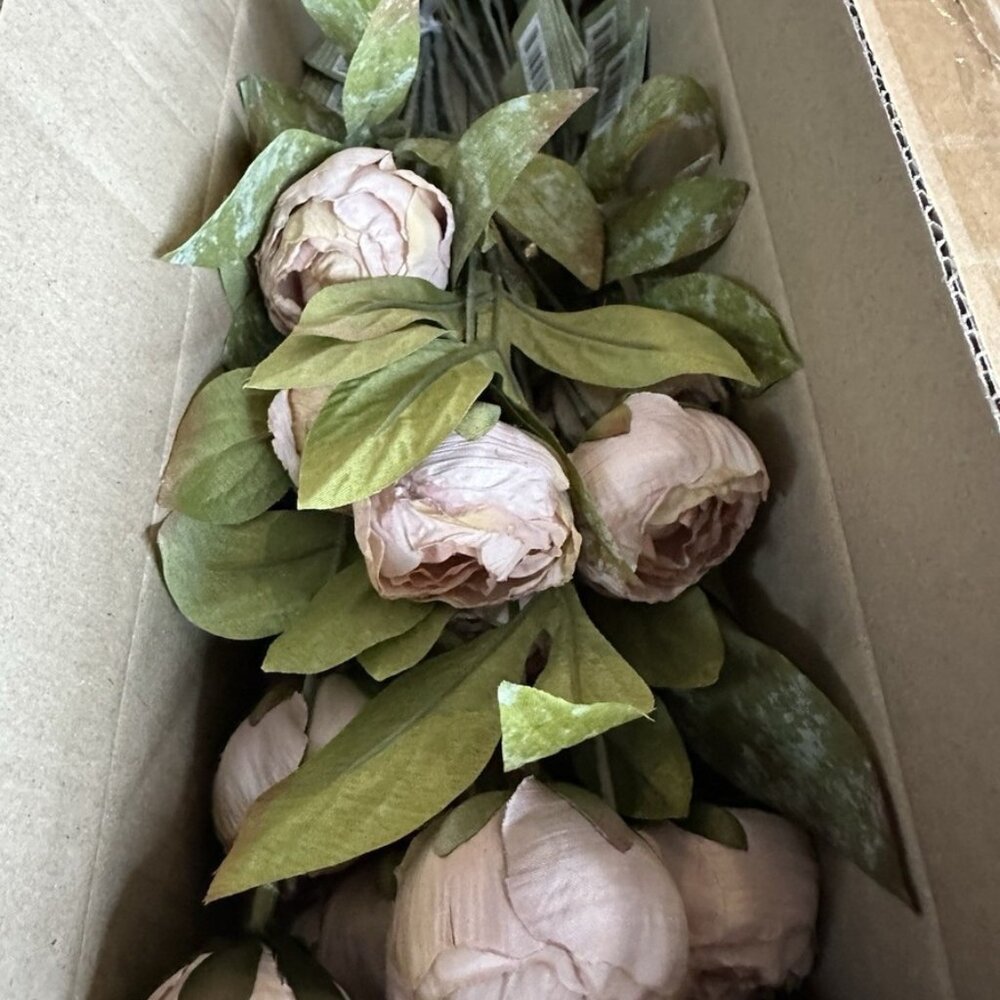 Viral Michaels Ashland Peonies - set of 8 stems NIB
